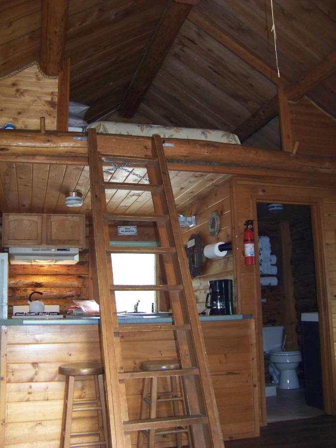 Box Canyon Cabins Сьюард Экстерьер фото